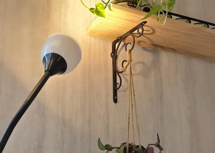 신규오픈 8-1 건국대학교 성수 잠실 2룸 3베드 최대7인 Apartamento Seul